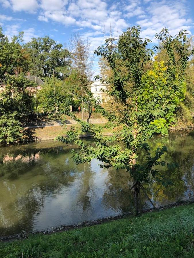 Apartamento Nad Mlynowka Opole Exterior foto
